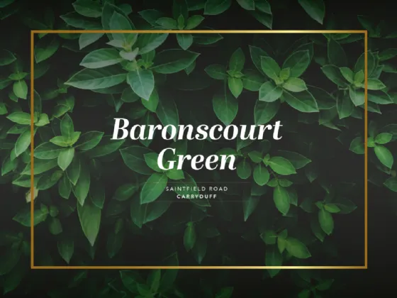 Baronscourt Green , Baronscourt Road, Carryduff, BT8