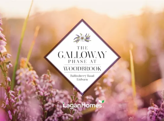  The Galloway, Woodbrook, Lisburn, BT28