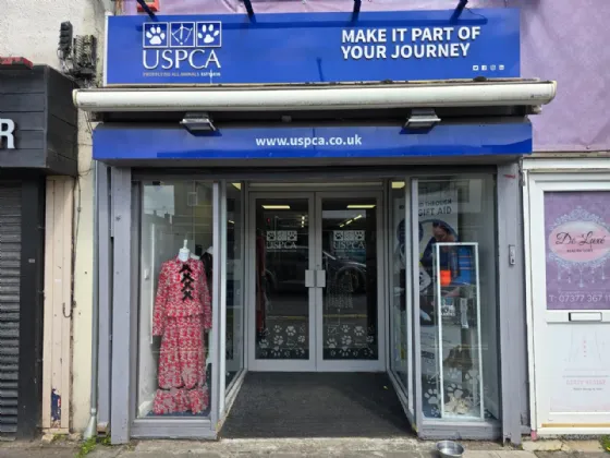 144 Longstone Street, Lisburn, County Antrim, BT28 1ET