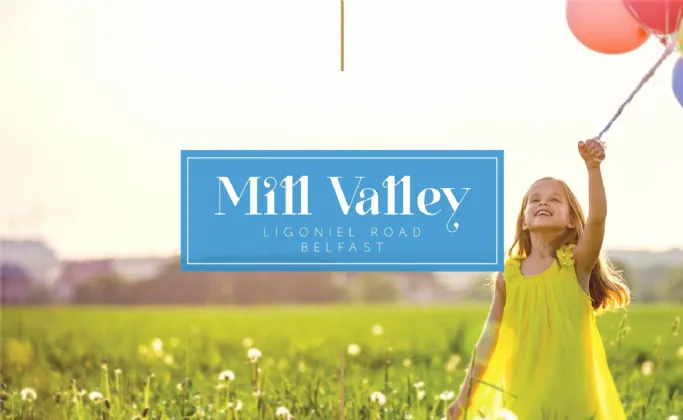 Mill Valley , Belfast, BT14