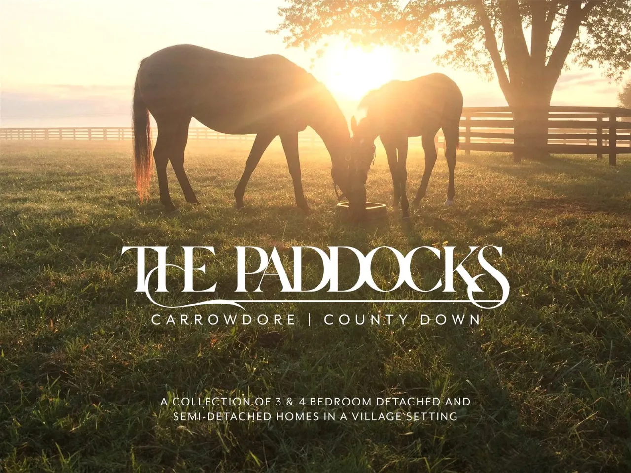 The Paddocks, Carrowdore, Newtownards, County Down, BT22