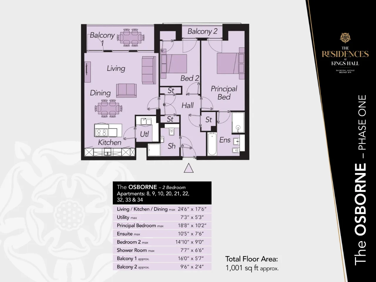 Apartment 10 - The Osborne, The Residences At Kings Hall, Balmoral Avenue, BT9