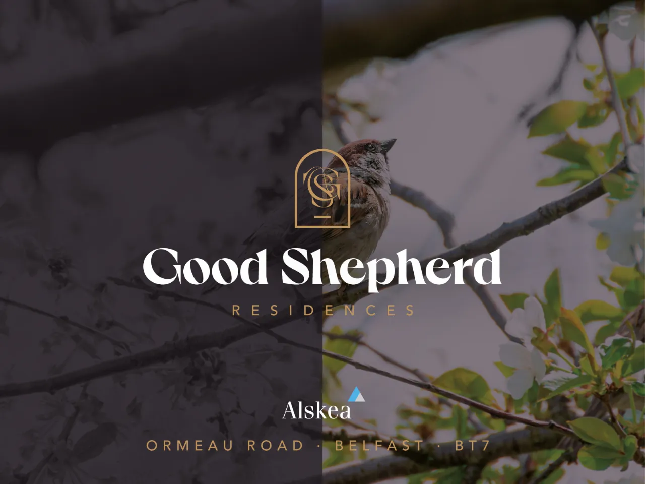Apartment 8, Good Shepherd Residences, Ormeau Road, Belfast, BT8